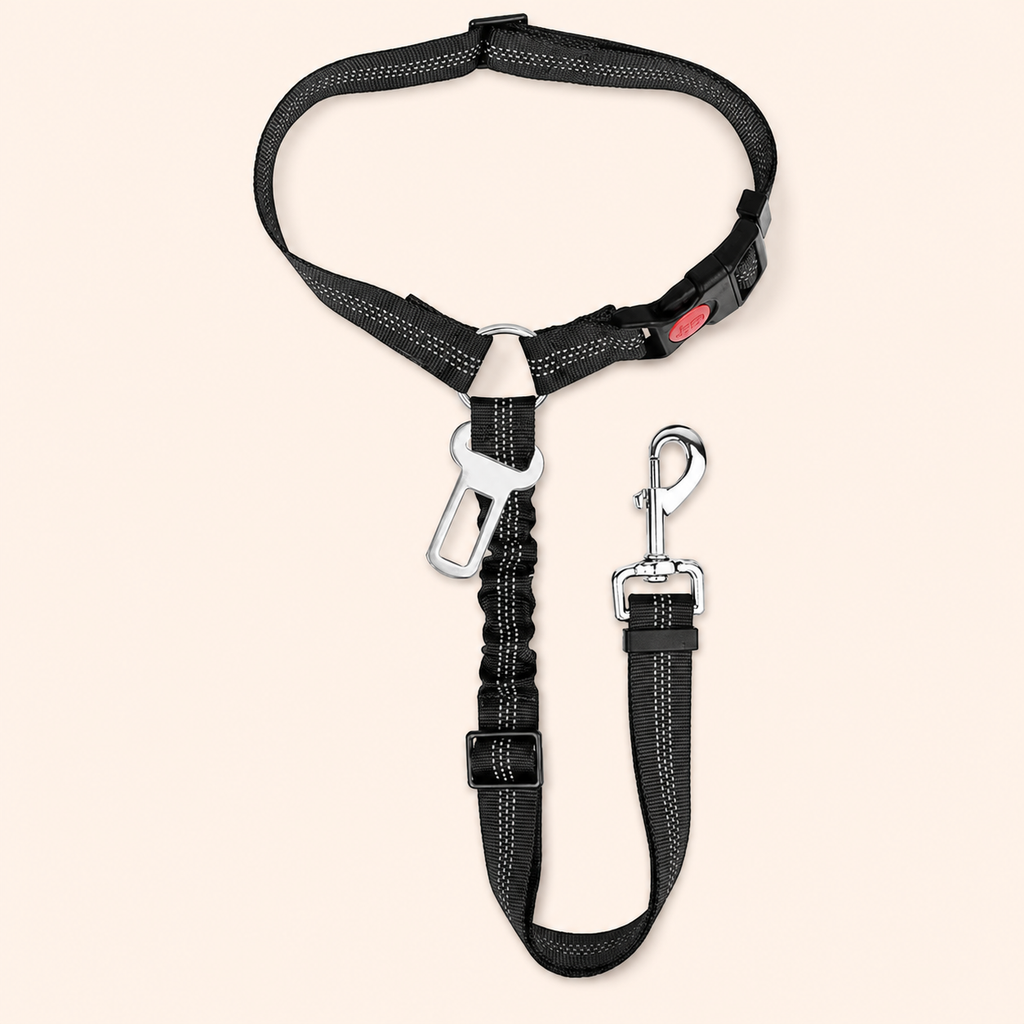 2-in-1 Dog Car Tether