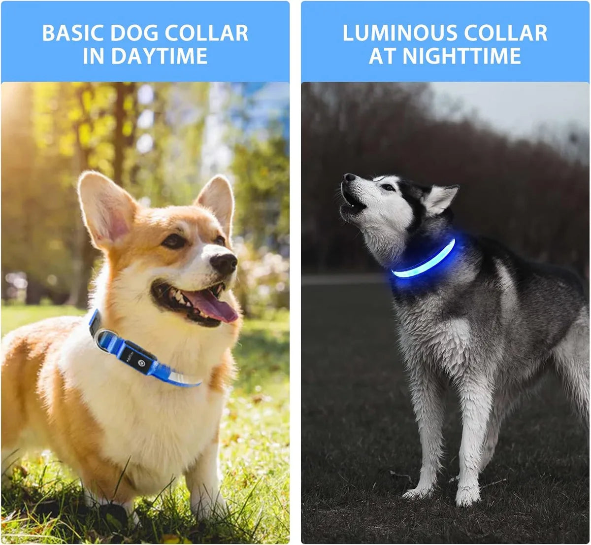 LED Dog Safety Collar