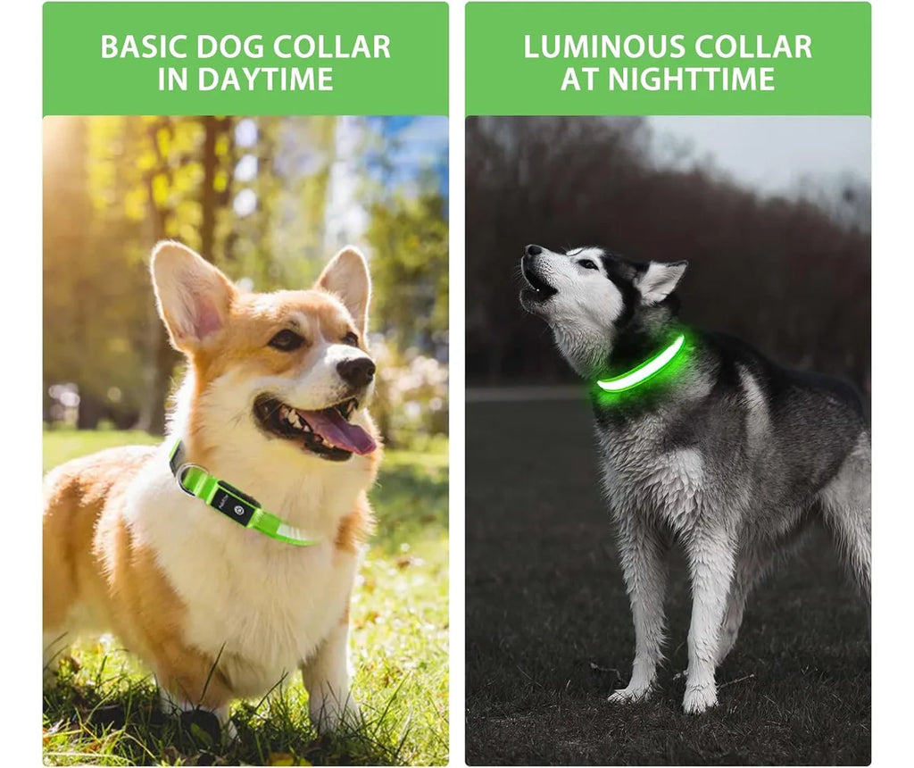 LED Dog Safety Collar