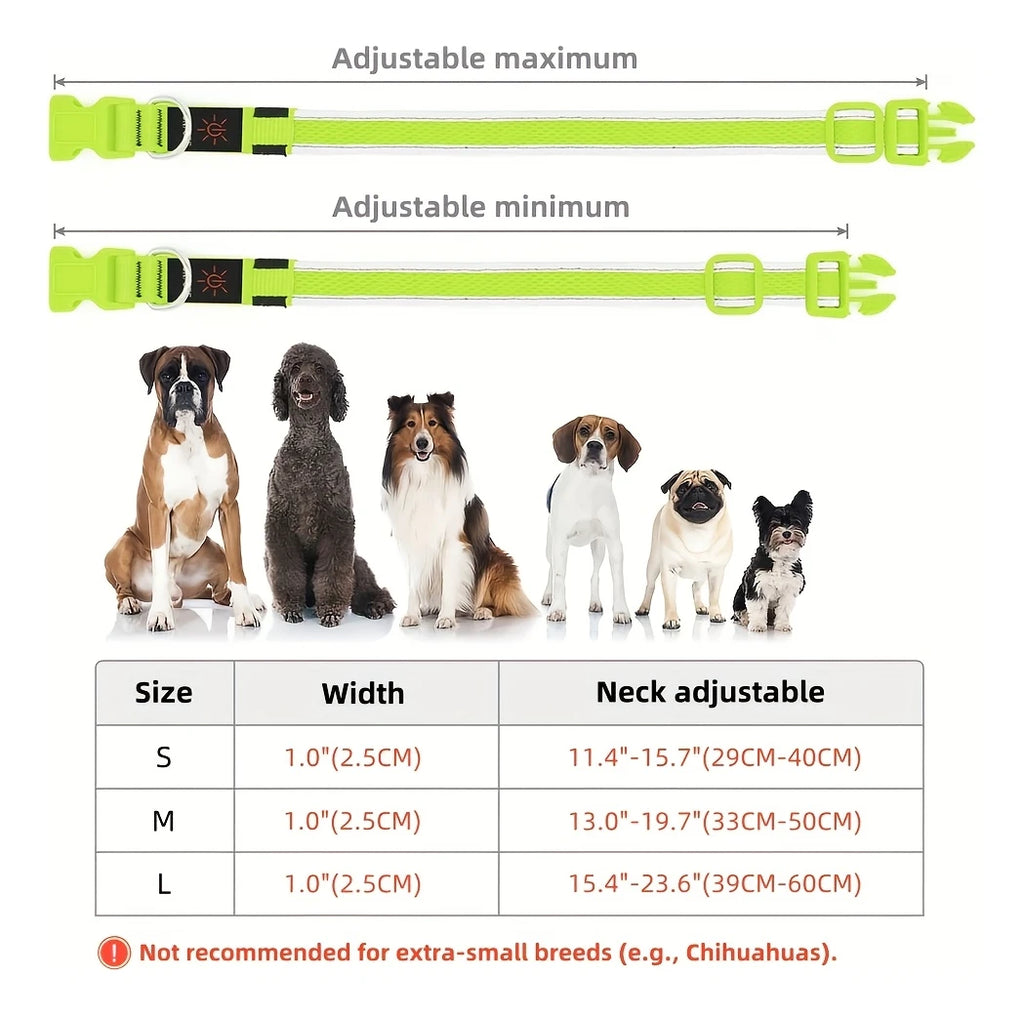 LED Dog Safety Collar