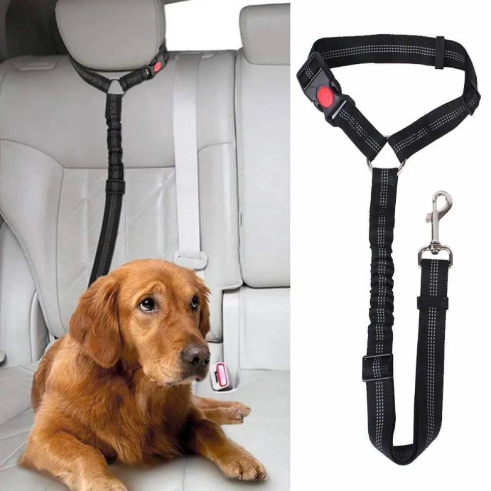 2-in-1 Dog Car Tether