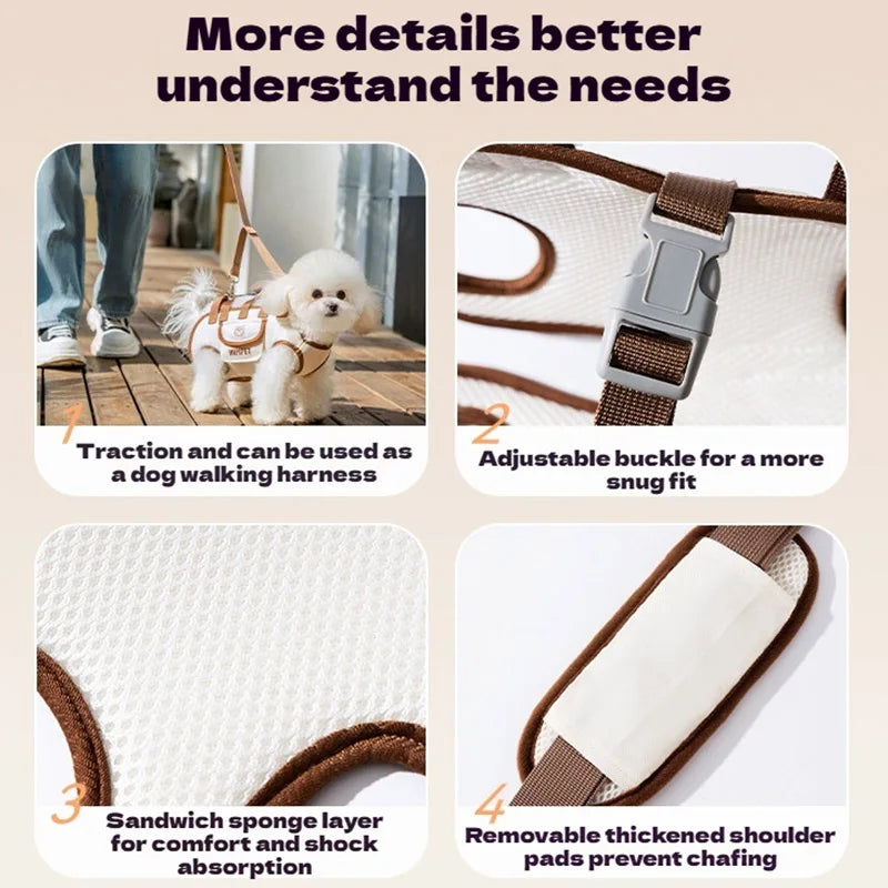 2-in-1 Pet Carrier Bag