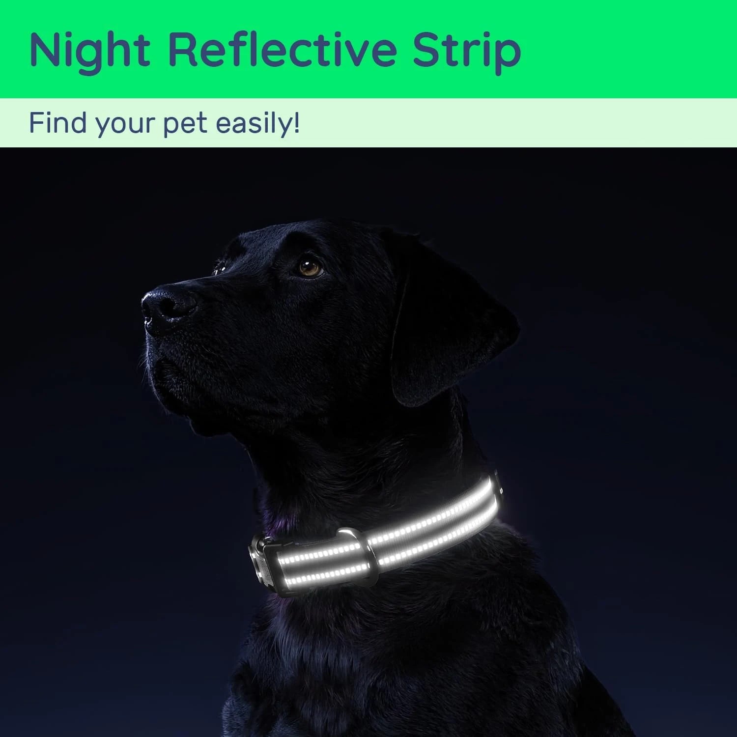 AirTag Dog Collar