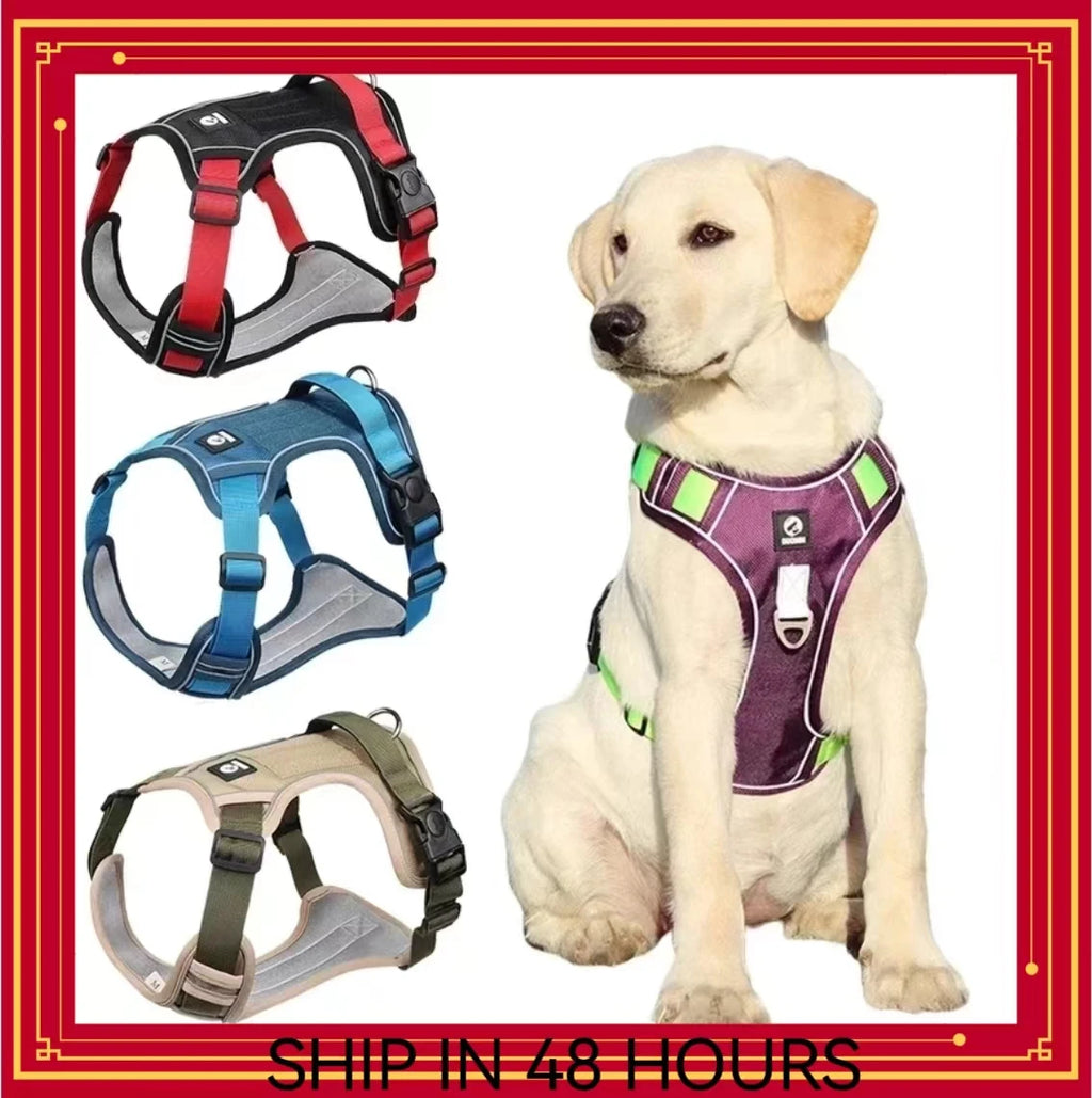 Reflective Dog Harness