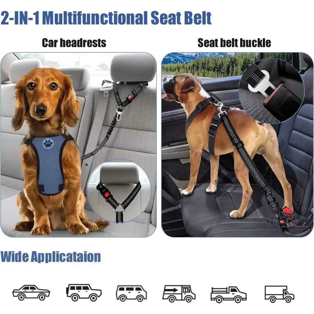 2-in-1 Dog Car Tether
