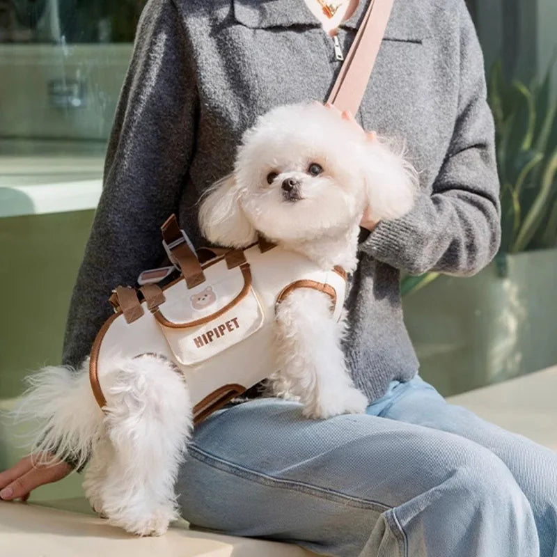 2-in-1 Pet Carrier Bag
