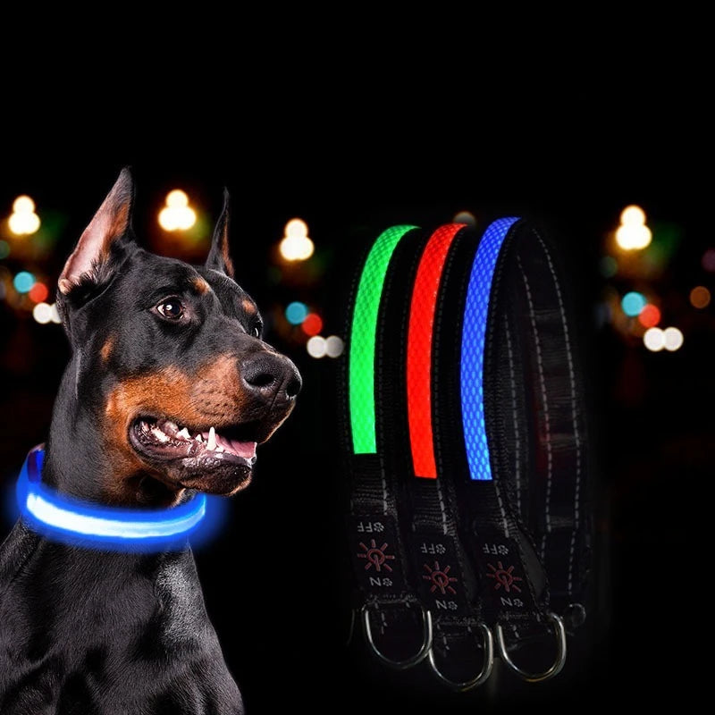 LED Dog Safety Collar