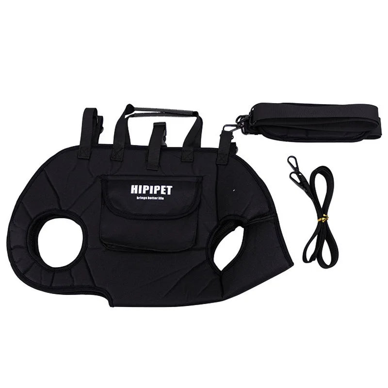 2-in-1 Pet Carrier Bag