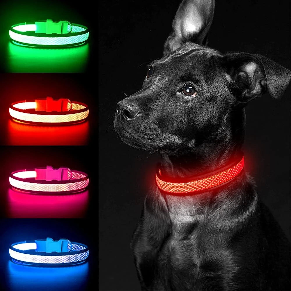 LED Dog Safety Collar