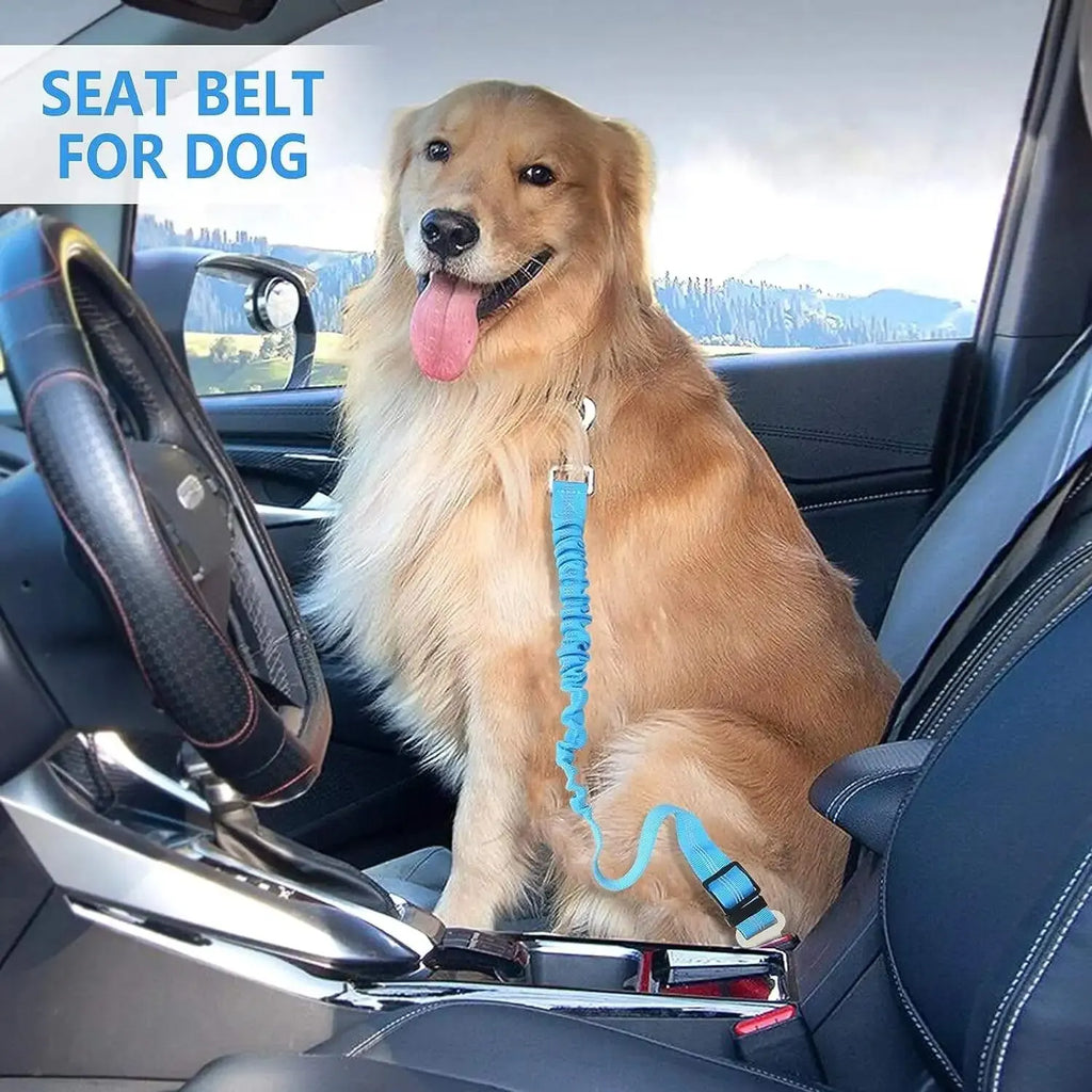Reflective Dog Seat Belt