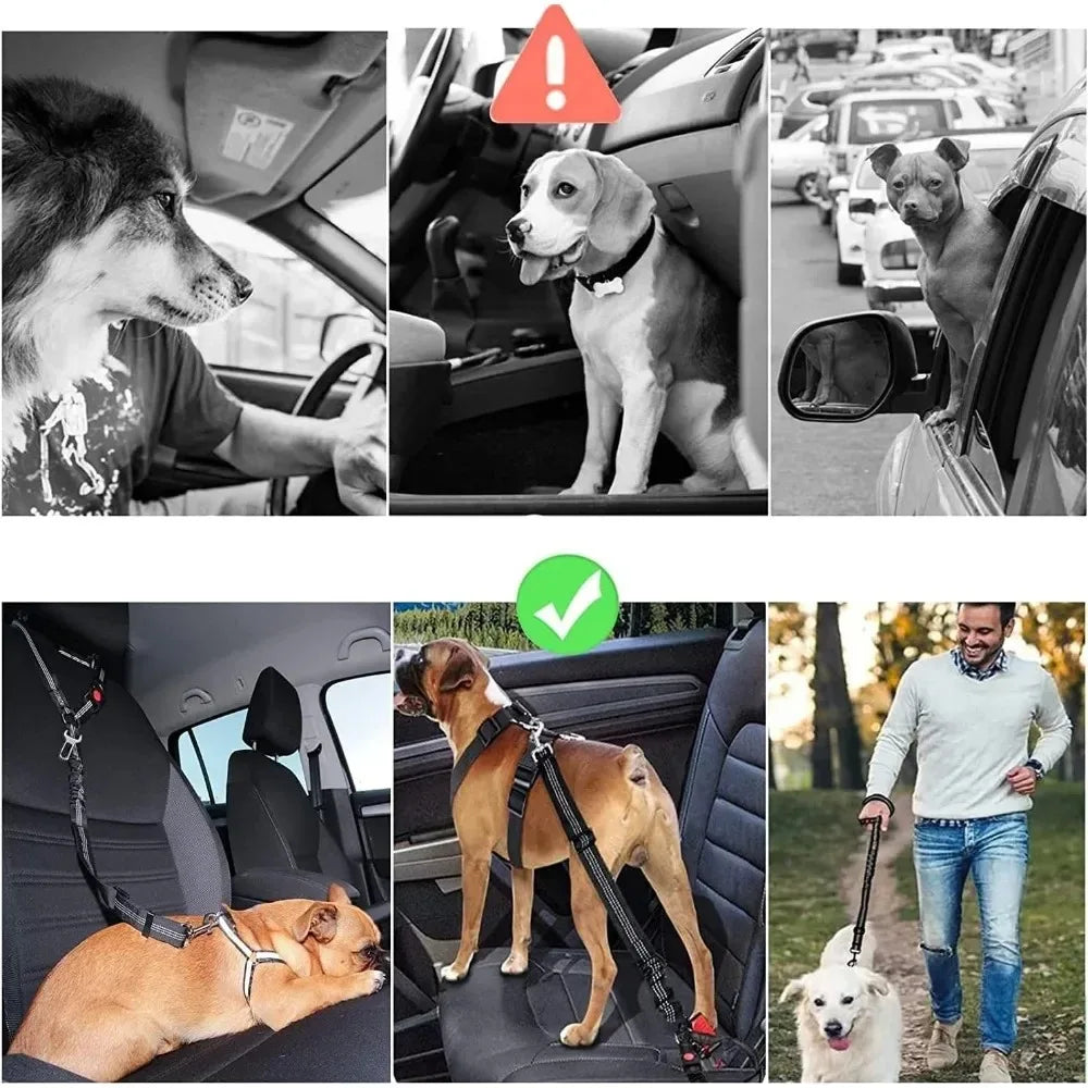 2-in-1 Dog Car Tether